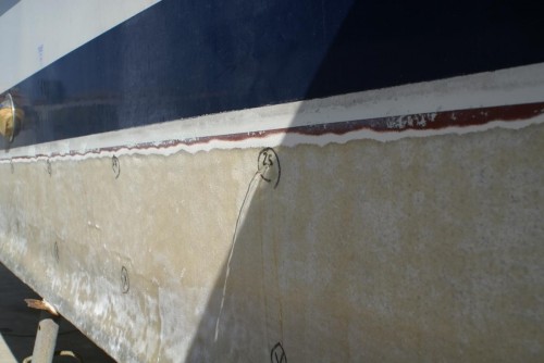  - Marine Surveyor